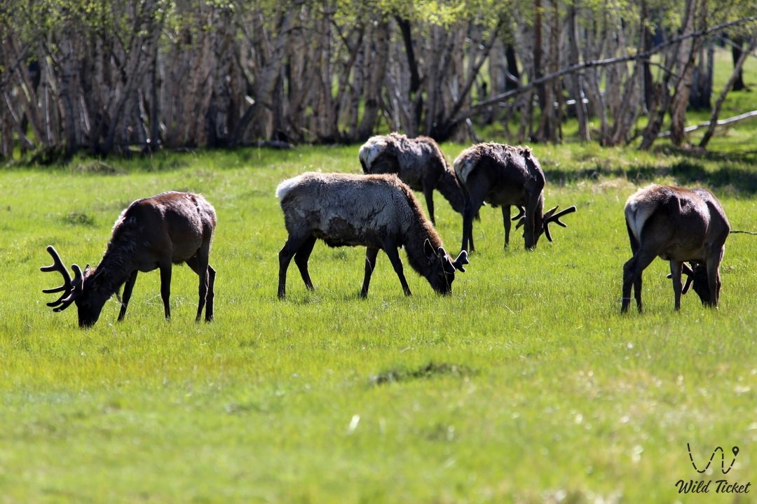 Каркаралинск за один день