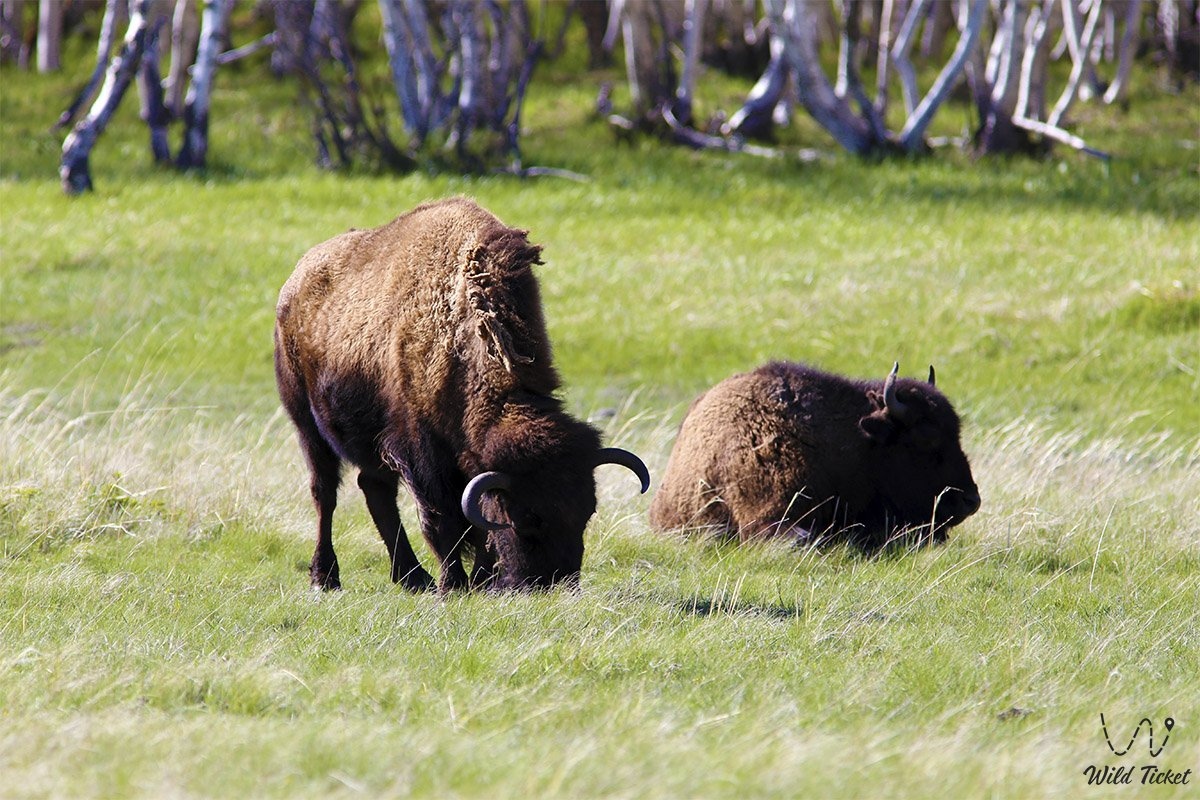 Каркаралинск за один день