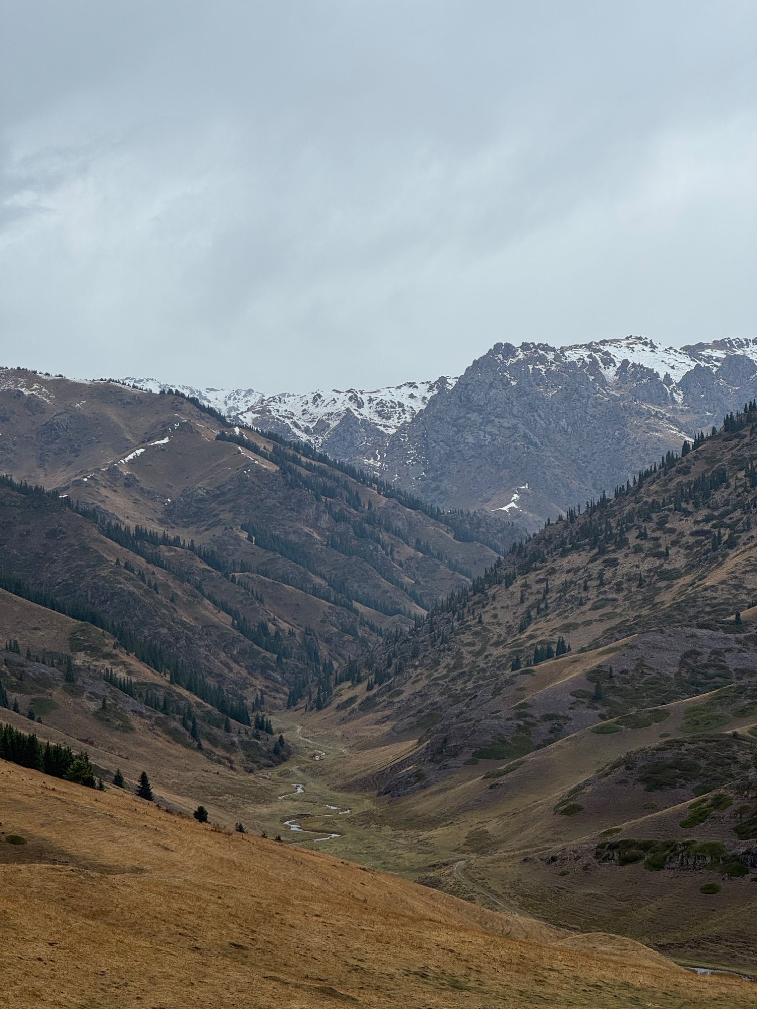 Джип тур жайлау шалкоде карасаз