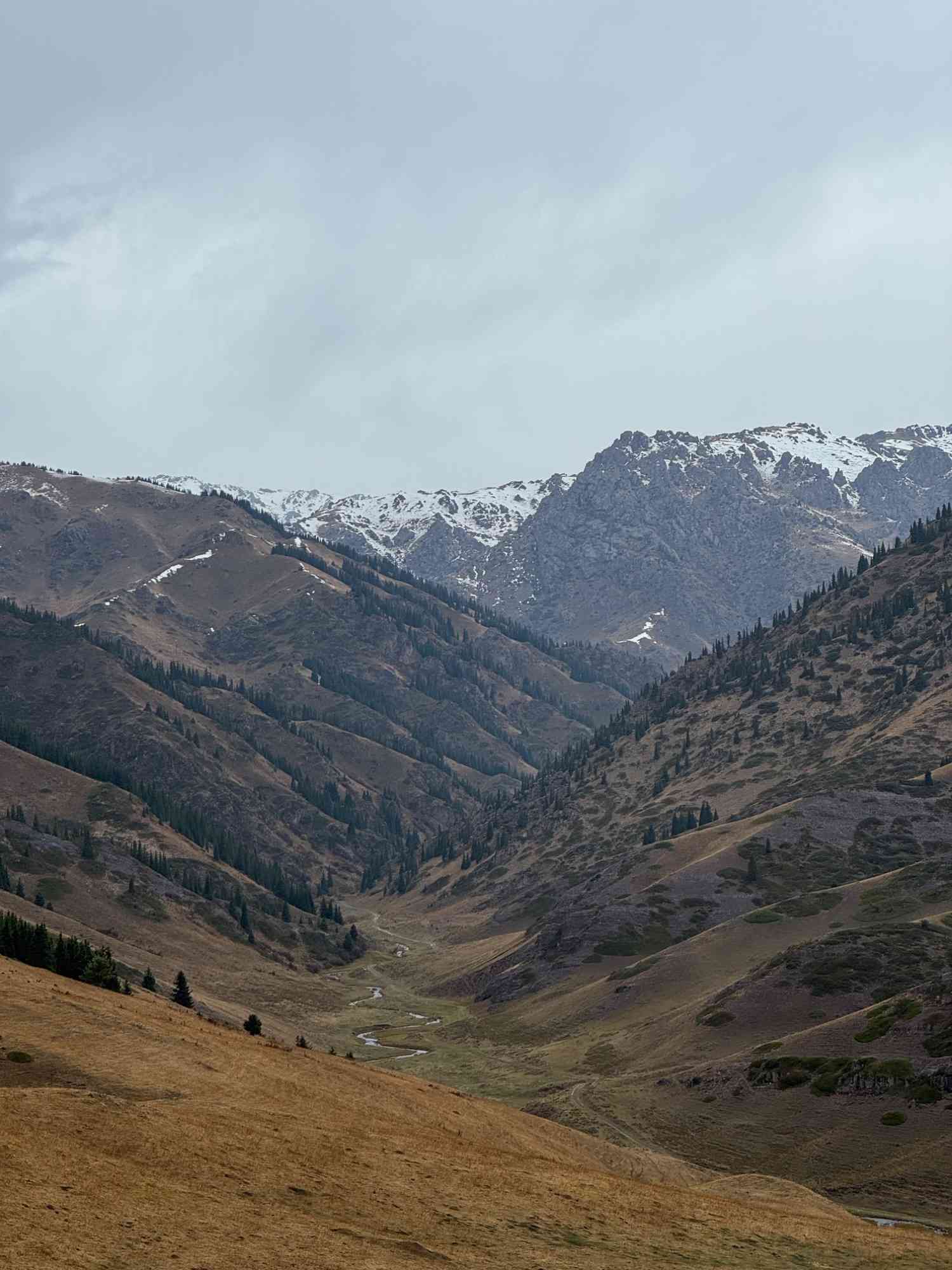 Джип тур жайлау шалкоде карасаз